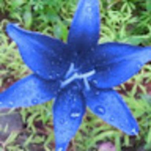 Meet your Posher, Leah